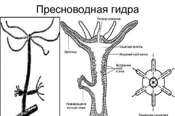 Кракен маркет даркнет только через