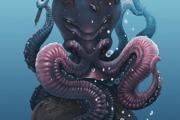 Kraken place