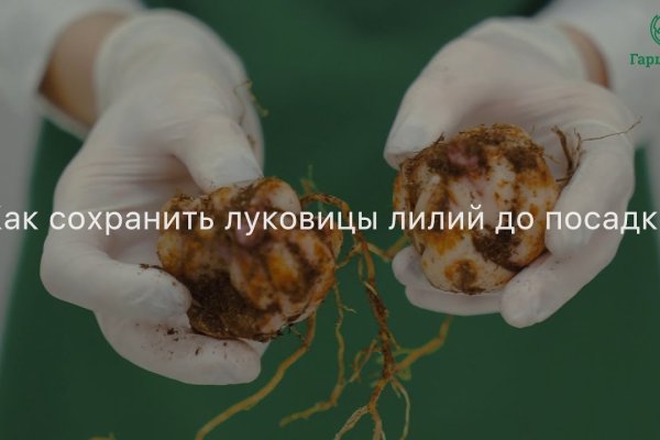 Купить наркотики в москве