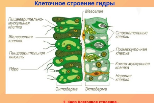 Кракен магазин kraken clear com