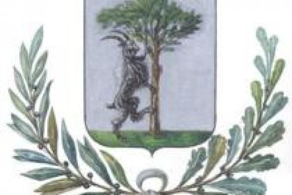Кракен ссылка trikky