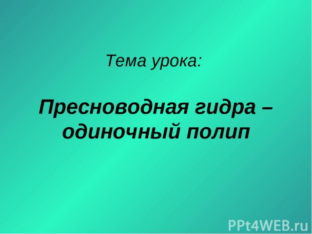 Ссылка на кракен свежая
